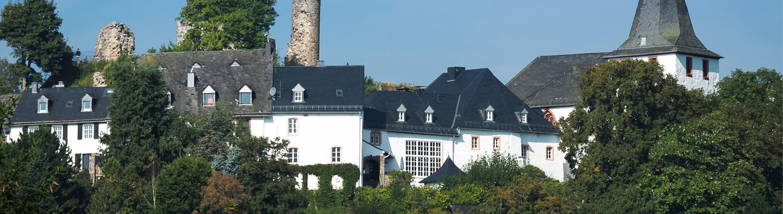  Burghaus & Villa Kronenburg 